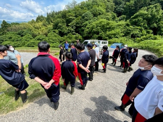 ③