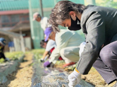 20250605さつまいも苗植え15