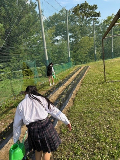 20350613_さつまいも水やり１