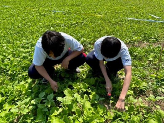 ④
