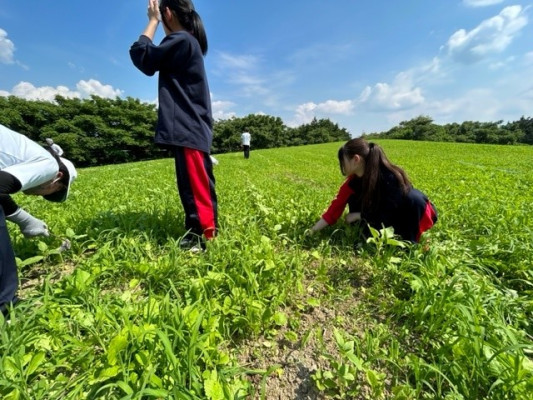 ⑤