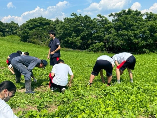 ③