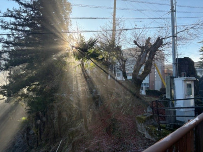 202512月学校風景３